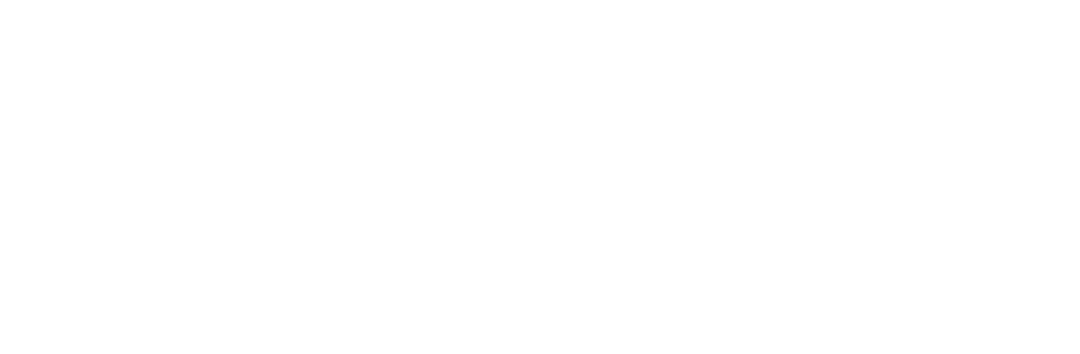 BotLab Dynamics